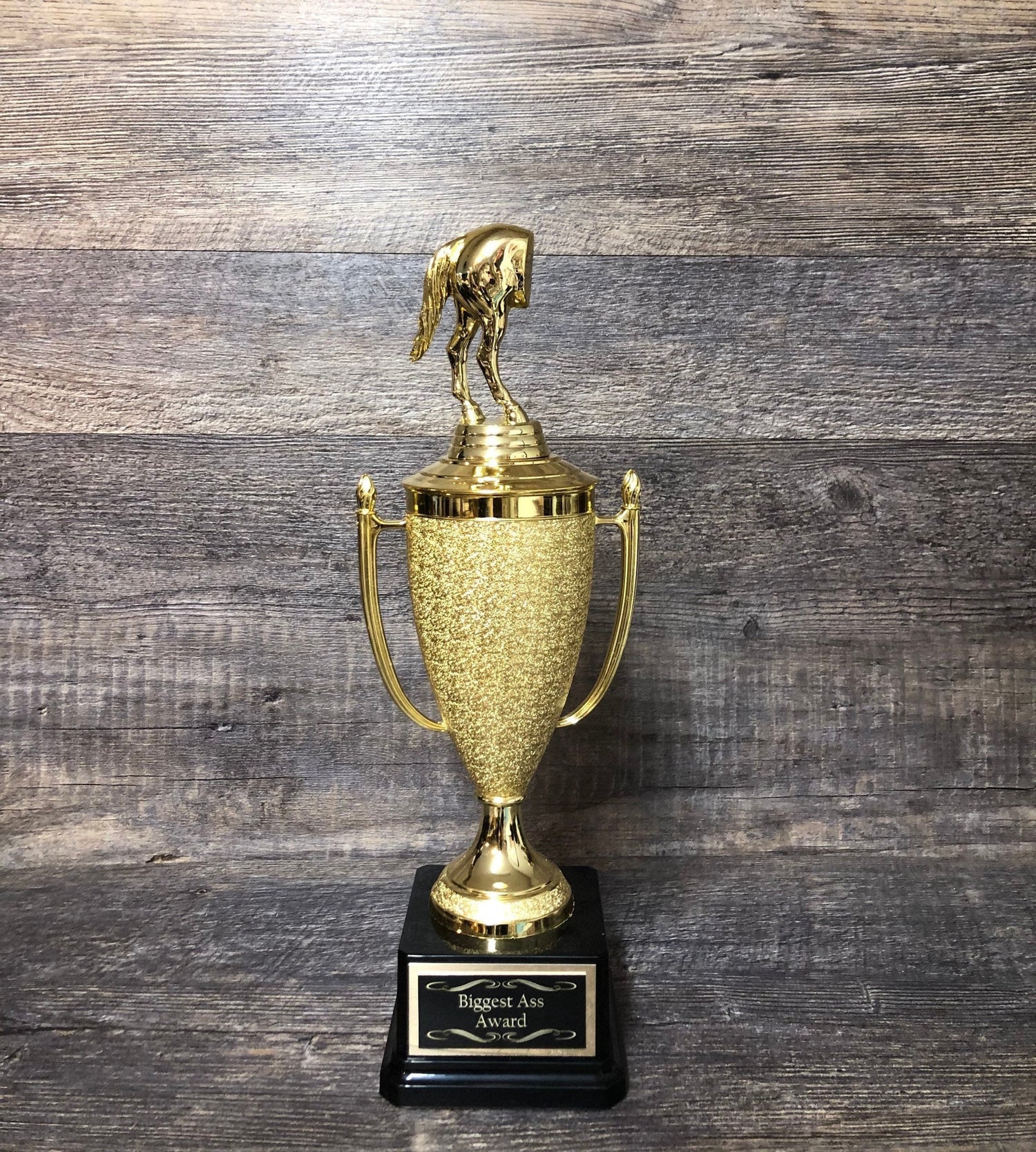 Football Trophy Cup